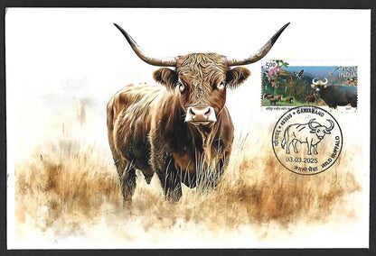 India 2025 WILD BUFFALO, GARIABAND Special covers (5)
