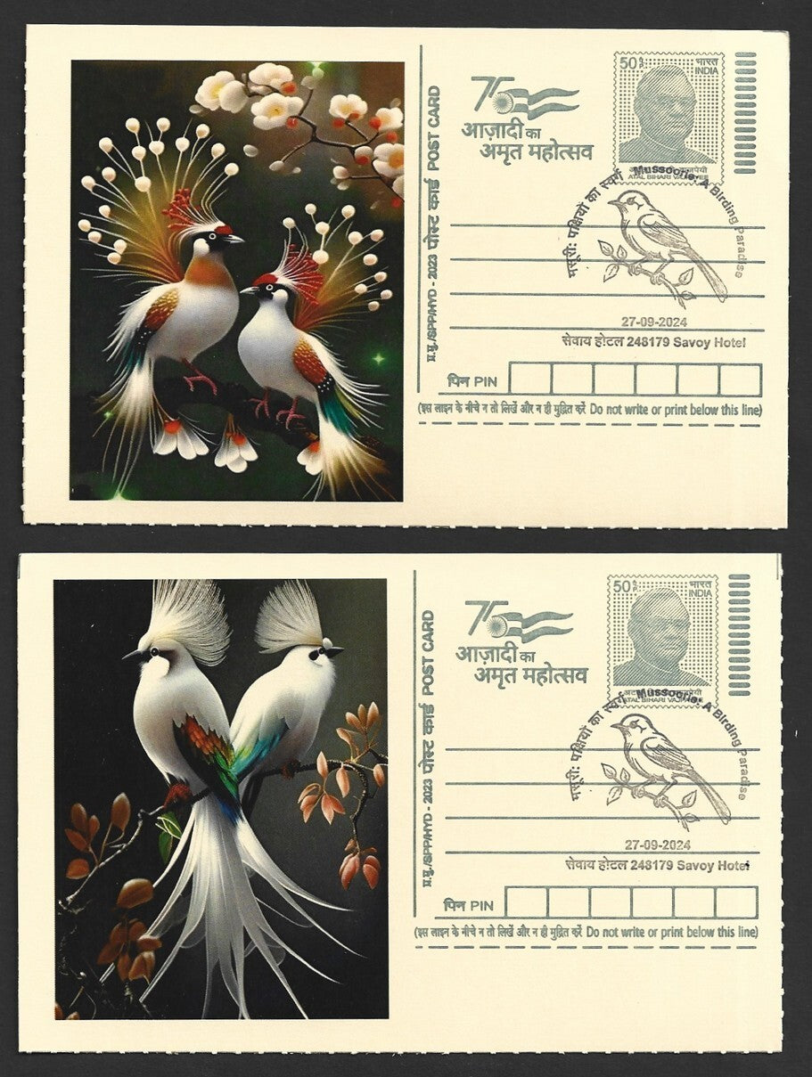 India 2024 Birding Paradise Savoy Hotel postmarks on cards BIRD PAINTINGS (10)