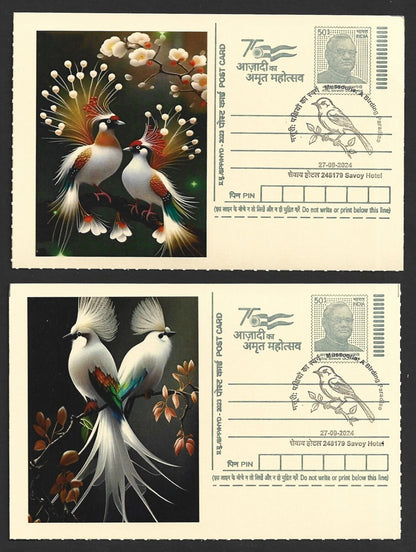 India 2024 Birding Paradise Savoy Hotel postmarks on cards BIRD PAINTINGS (10)