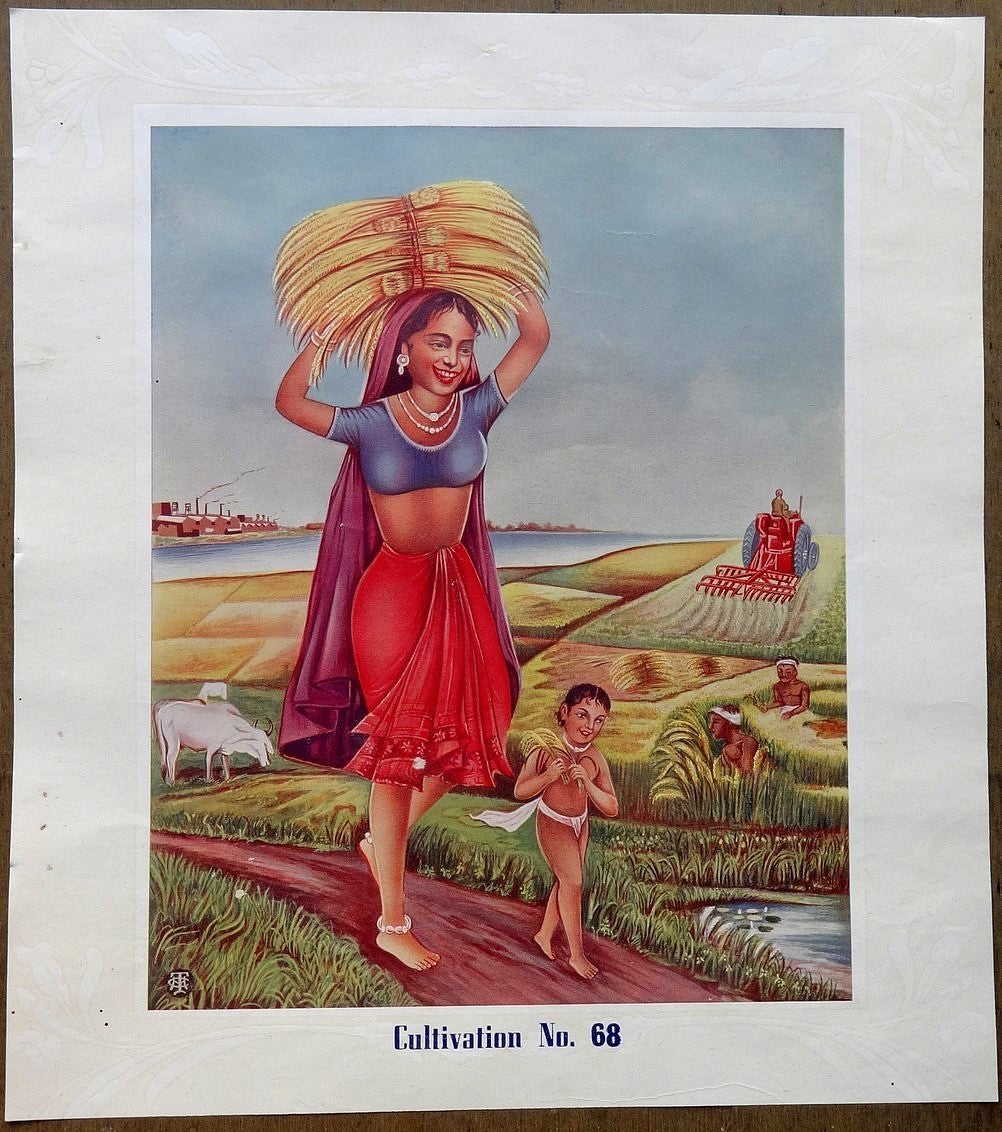 India 10.5"x11.5" Vintage poster - Cultivation