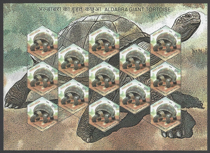 India 2008 Tortoise complete set of 4 sheetlets MNH
