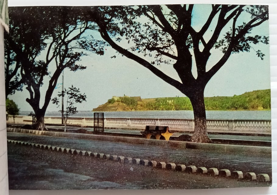 AOP India Damsan GOA souvenir booklet of 10 postcards 