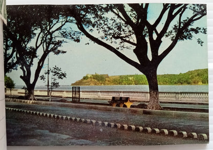 AOP India Damsan GOA souvenir booklet of 10 postcards 