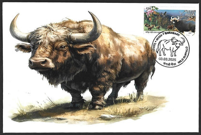 India 2025 WILD BUFFALO, GARIABAND Special covers (5)