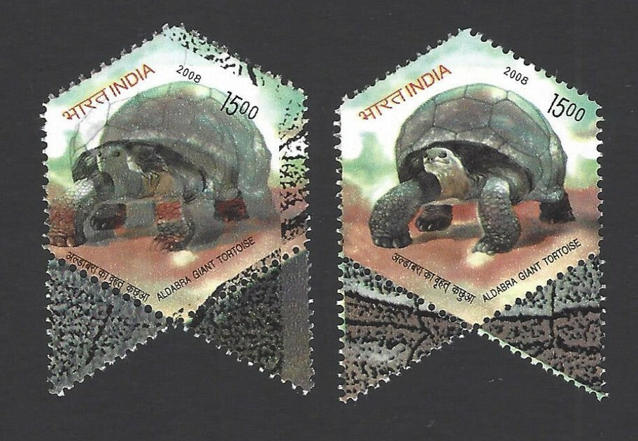 India 2008 Tortoise 15R with a major colour shift MNH