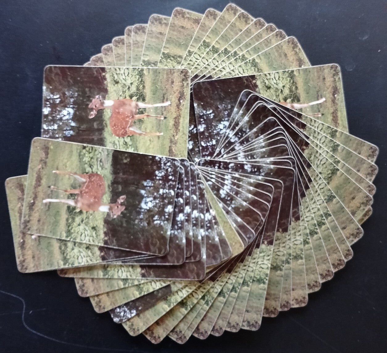 AOP India WWF Worldwide Wildlife Fund pack of playing cards