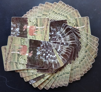 AOP India WWF Worldwide Wildlife Fund pack of playing cards
