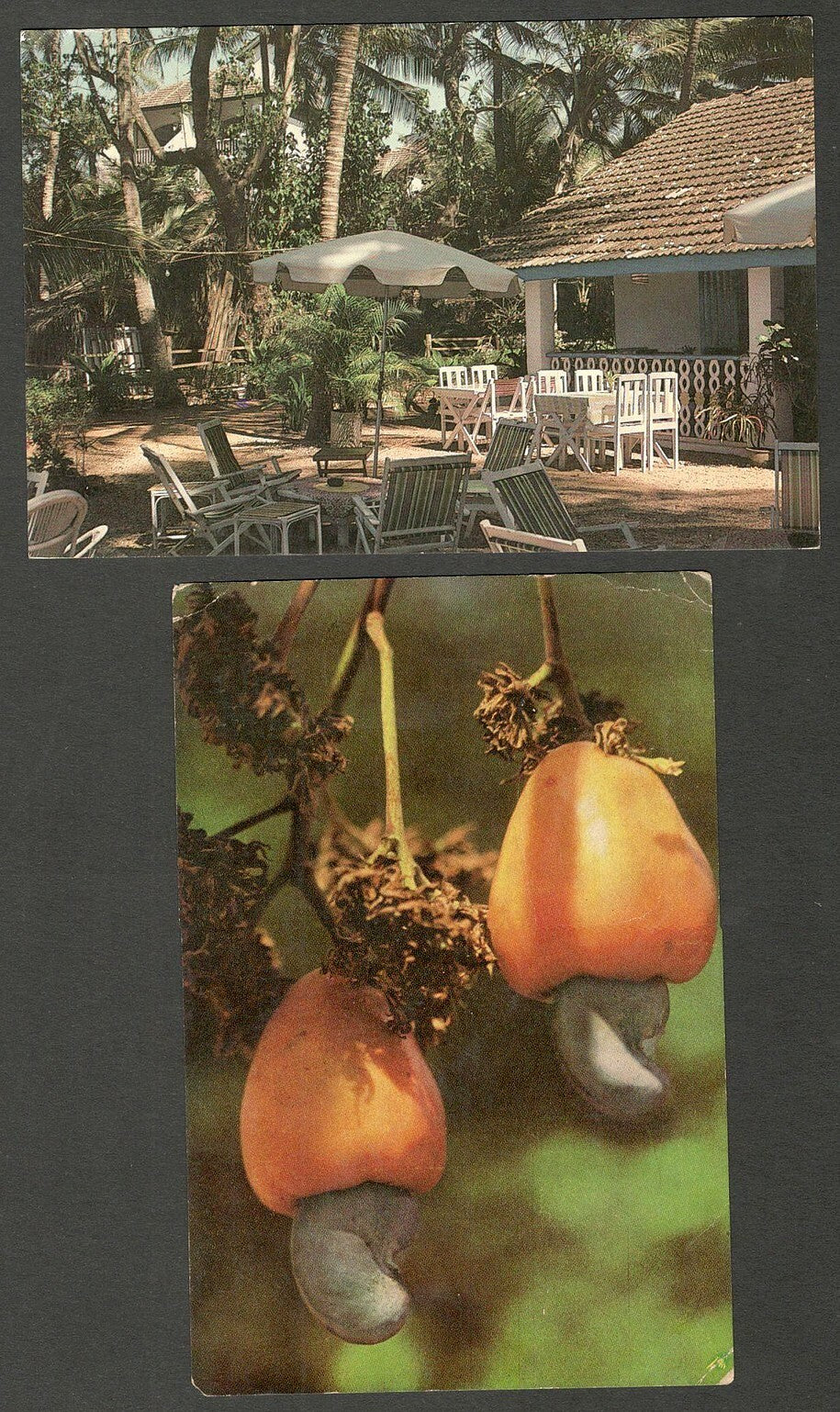 AOP India Goa vintage postcards (11)