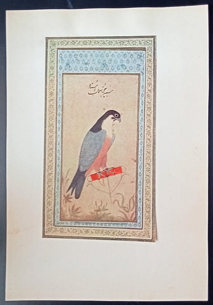 India Mughal Miniature vintage mounted print 5x9 inches - mounted