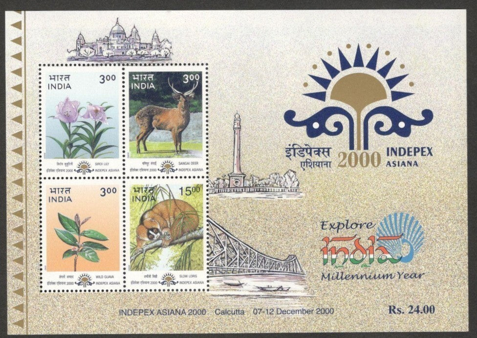 (AOP) India 2000 ASIANA INDEPEX MS CONSTANT ERROR 200 for 2000 on one stamp MNH