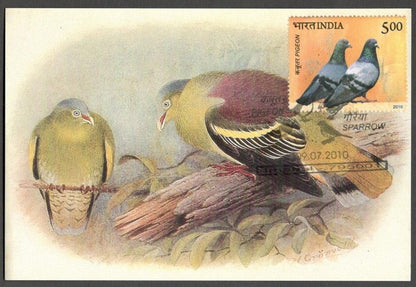 AOP India 2010 Pigeon maxi card