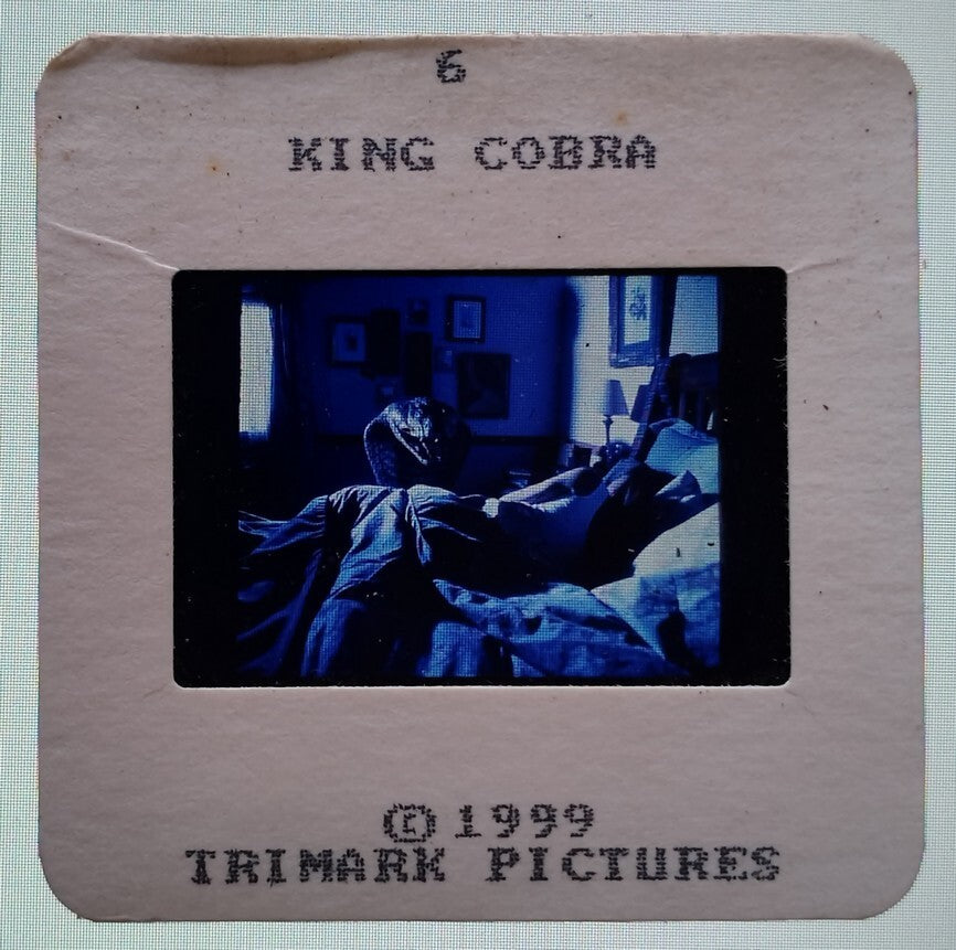 KING COBRA publicity material for India (15 slides, 9 photos, 2 negatives)