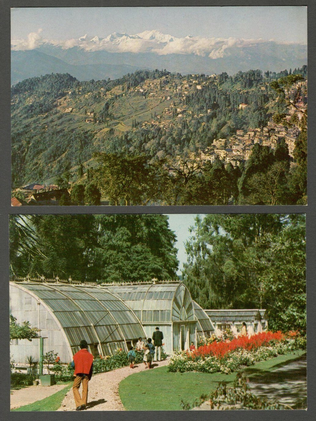 AOP India Darjeeling vintage postcards (8)