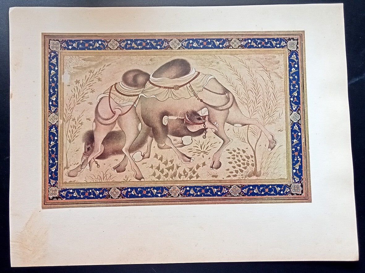 India Mughal Miniature vintage mounted print 7x10 inches - mounted