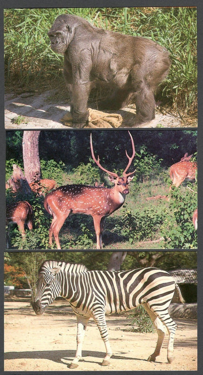 (AOP) India vintage postcards MYSORE ZOO (10)