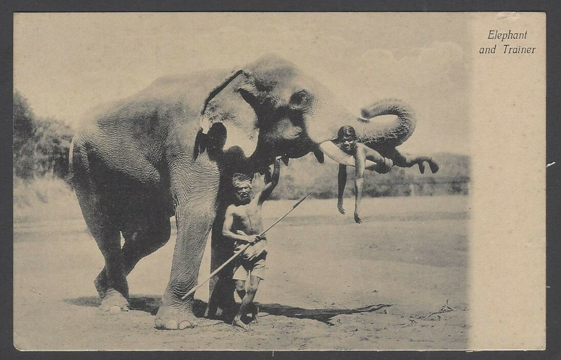 India Elephant & Trainer vintage postcard