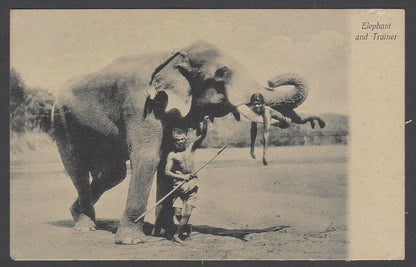India Elephant & Trainer vintage postcard