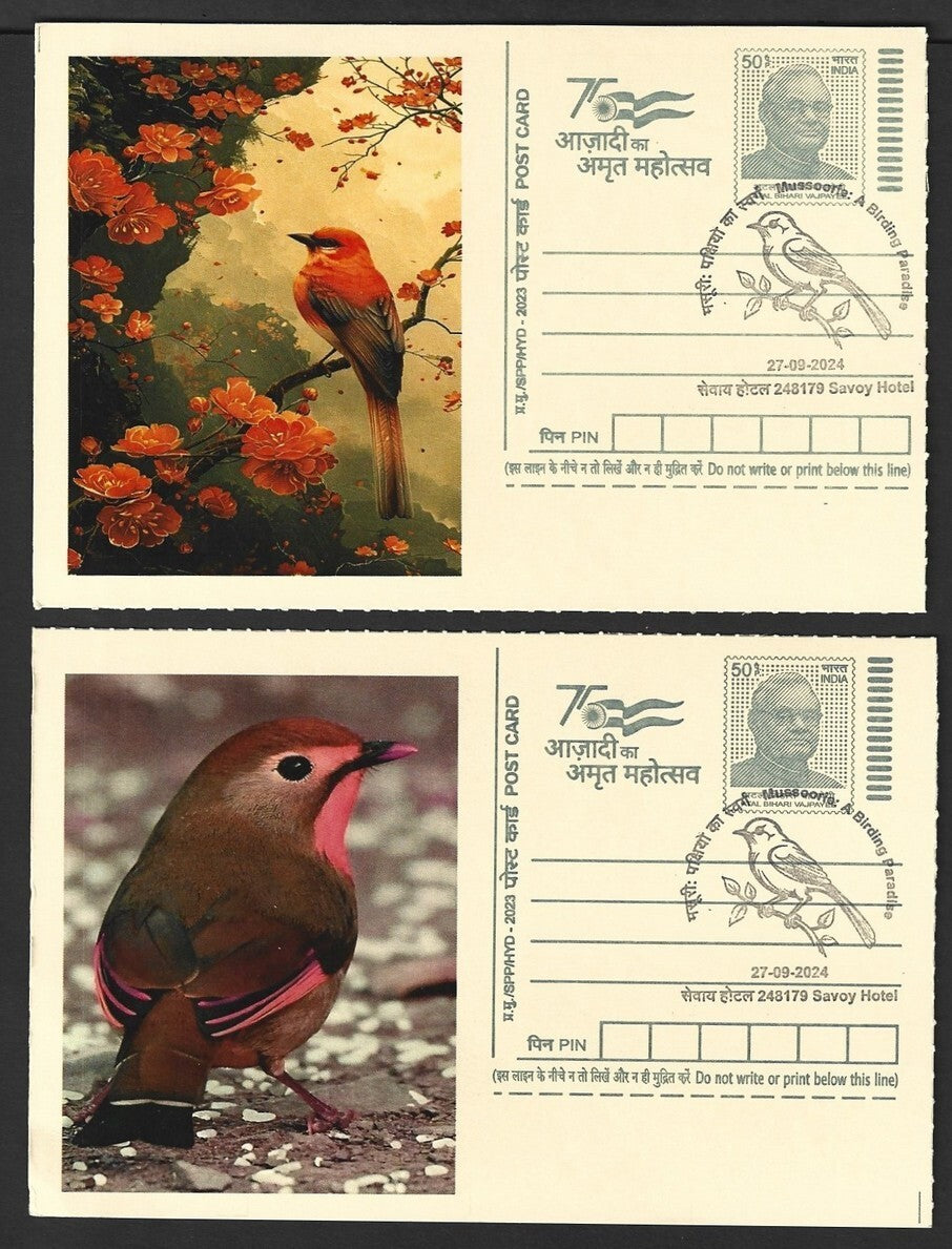 India 2024 Birding Paradise Savoy Hotel postmark cards MULTICOLORED BIRDS (6)