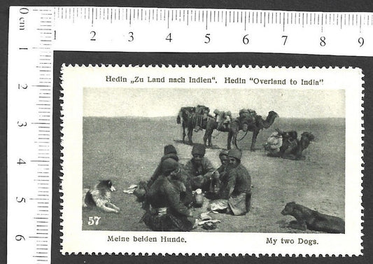 Vintage OVERLAND TO INDIA poster stamp - MY TWO DOGS zaz