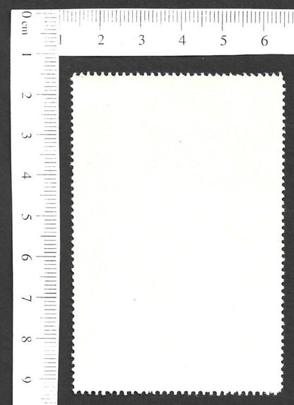 Vintage OVERLAND TO INDIA poster stamp - MAN FROM YEZD zaz
