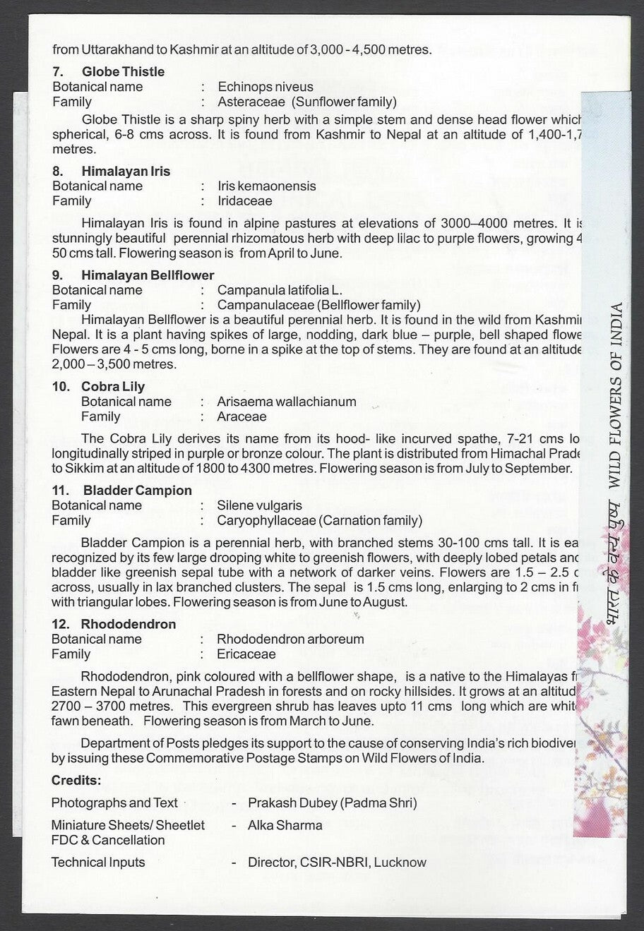 AOP India 2013 Wild Flowers sheetlet of 12 on information brochure