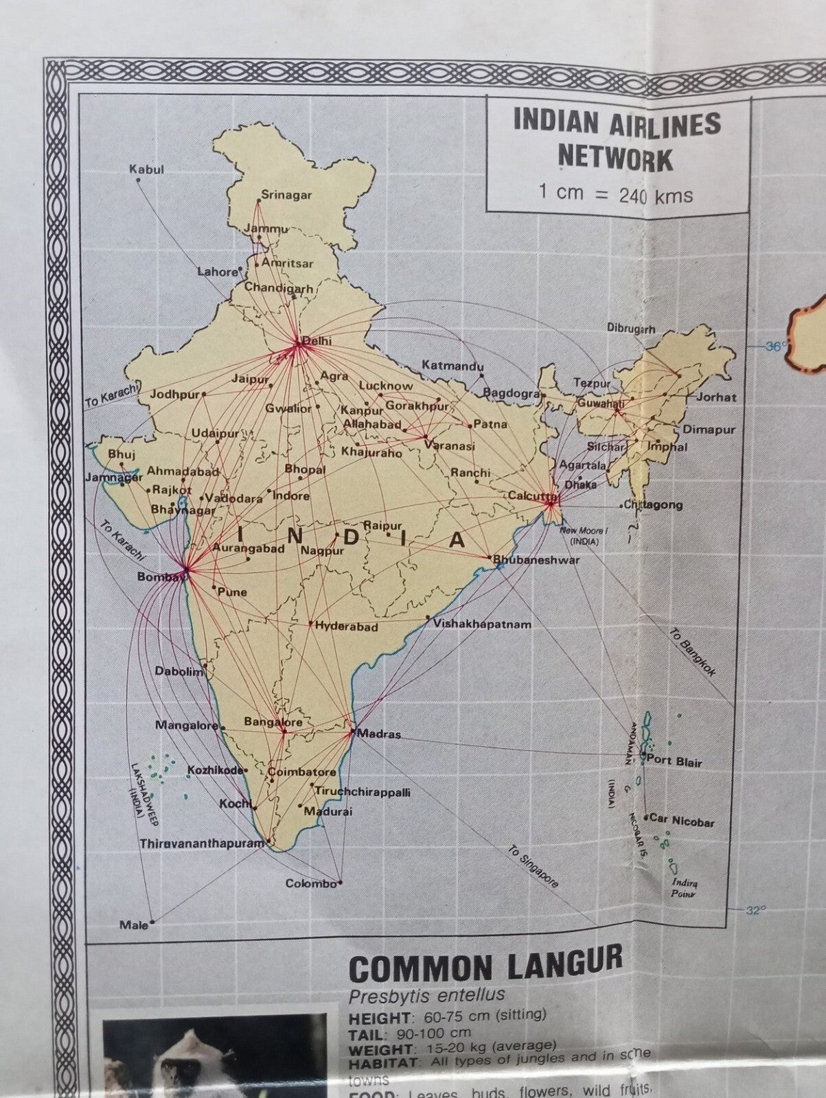AOP India Guide To India WILDLIFE 1991 with multi colour illustrated map