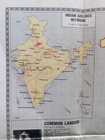 AOP India Guide To India WILDLIFE 1991 with multi colour illustrated map