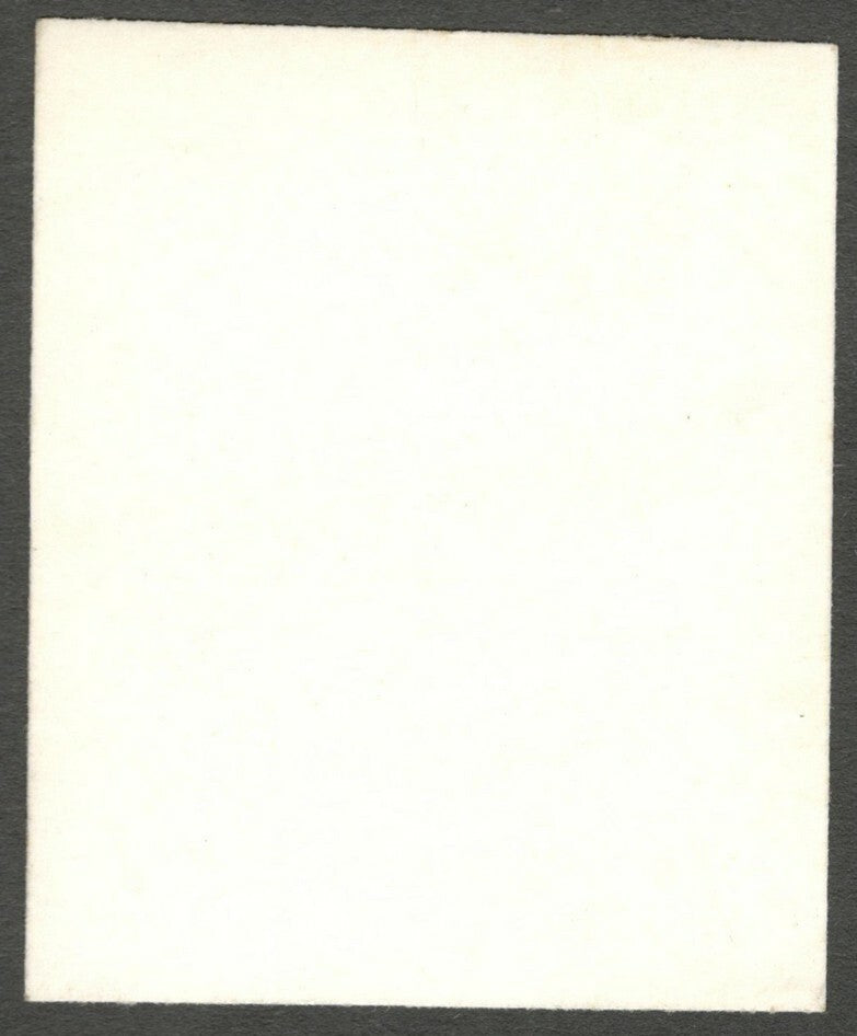 AOP India 1977 Wheat Symposium photographic proof 