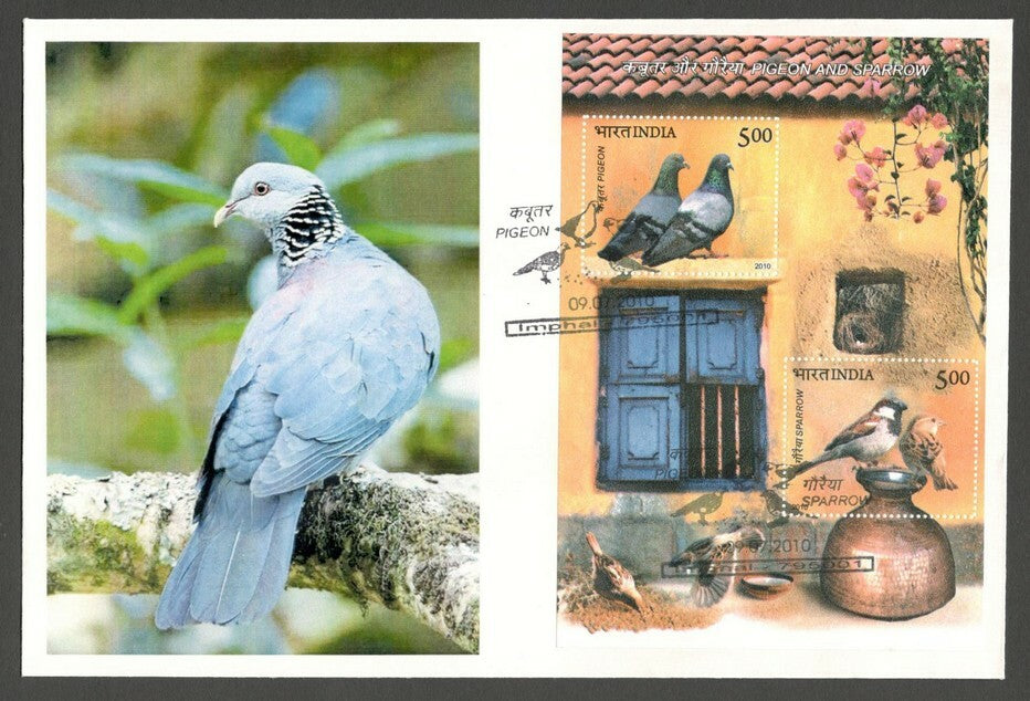 AOP India 2010 Birds Pigeon & Sparrow MS on FDC First Day cover