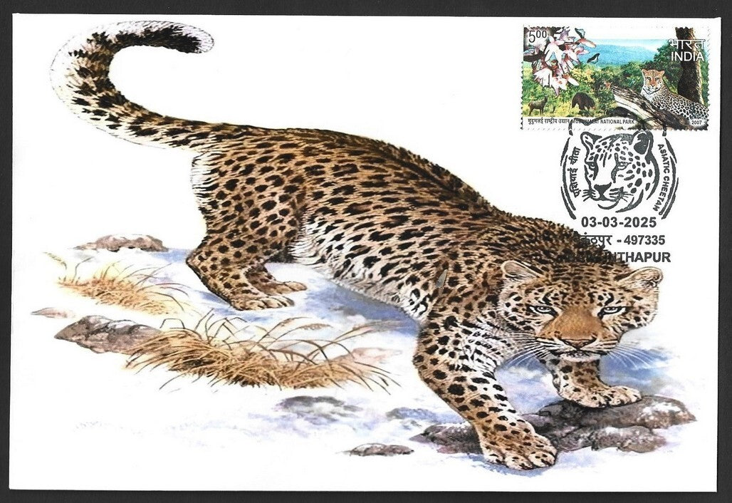 India ASIATIC CHEETAH, Baikunhapur postmark on special cover