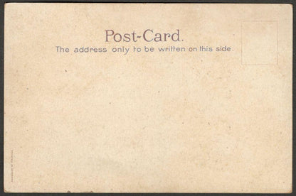 AOP India GENERAL VIEW, BHURT PORE vintage colour litho postcard unused