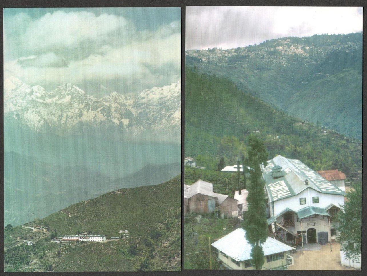 (AOP) India vintage postcards - DARJEELING (8)