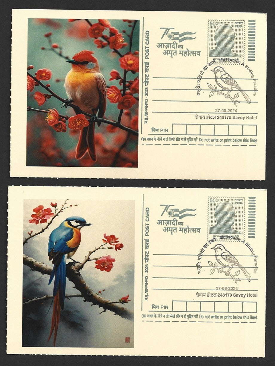 India 2024 Birding Paradise Savoy Hotel postmark cards MULTICOLORED BIRDS (8)