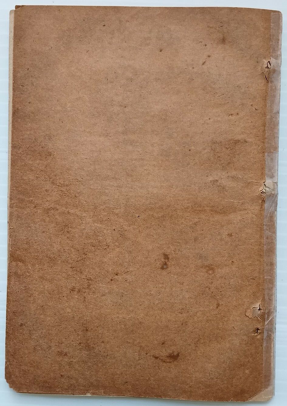 AOP DEWAN I HAFIZ Odes 1-50 SC 1890s poor condition India 