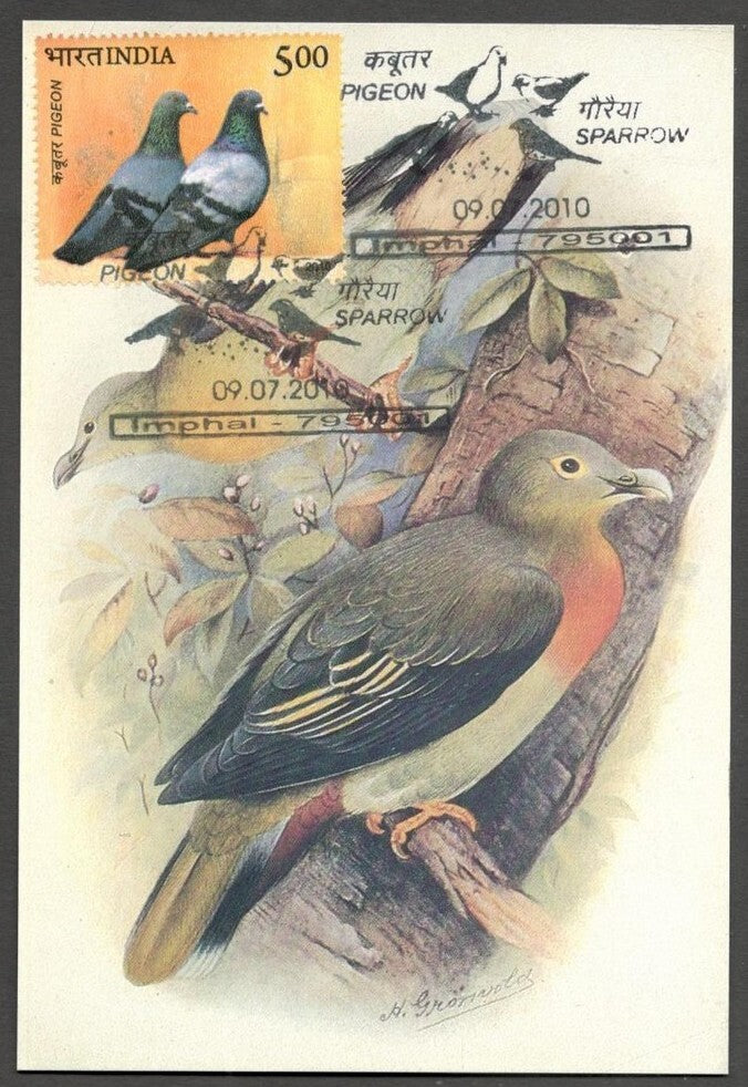 AOP India 2010 Pigeon maxi card