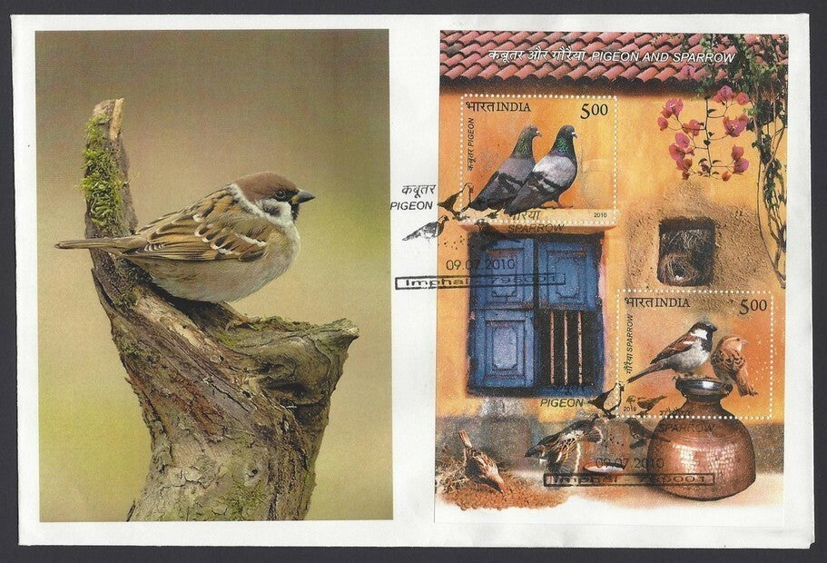 India 2010 Birds, Pigeons, Sparrows minisheet FDC