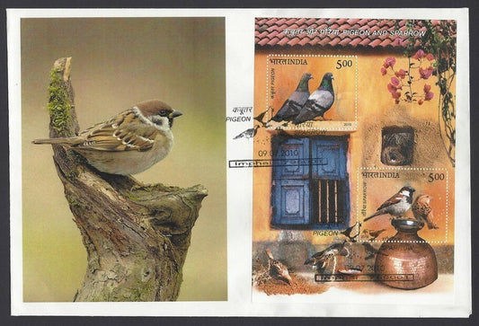 India 2010 Birds, Pigeons, Sparrows minisheet FDC