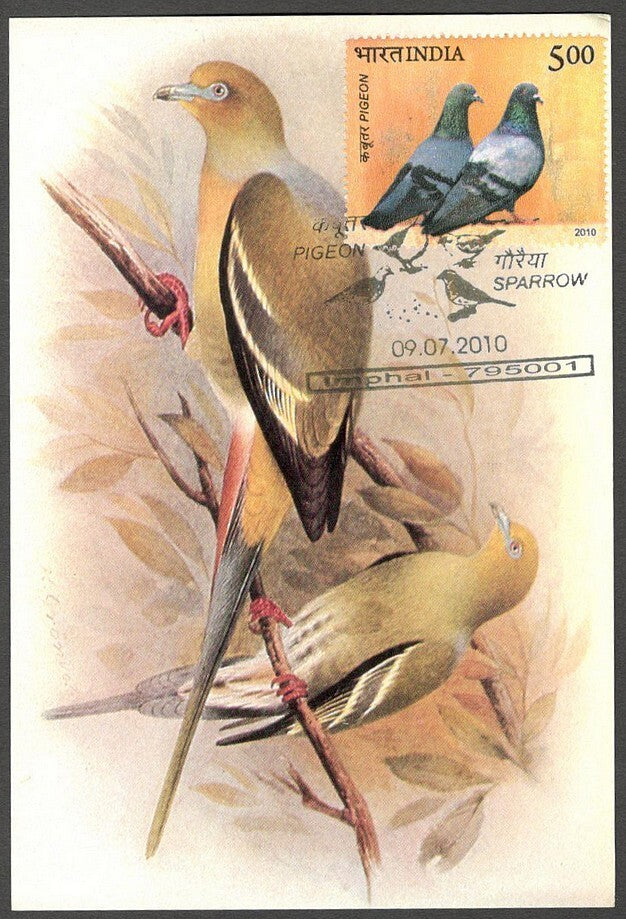 AOP India 2010 Pigeon maxi card