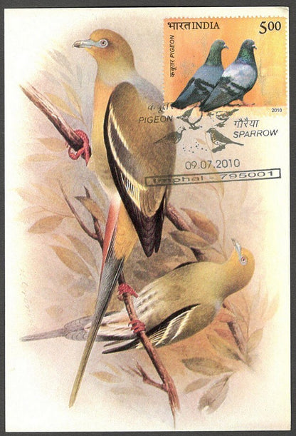 AOP India 2010 Pigeon maxi card