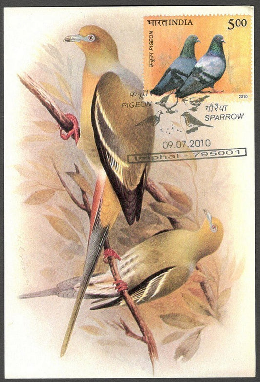 AOP India 2010 Pigeon maxi card