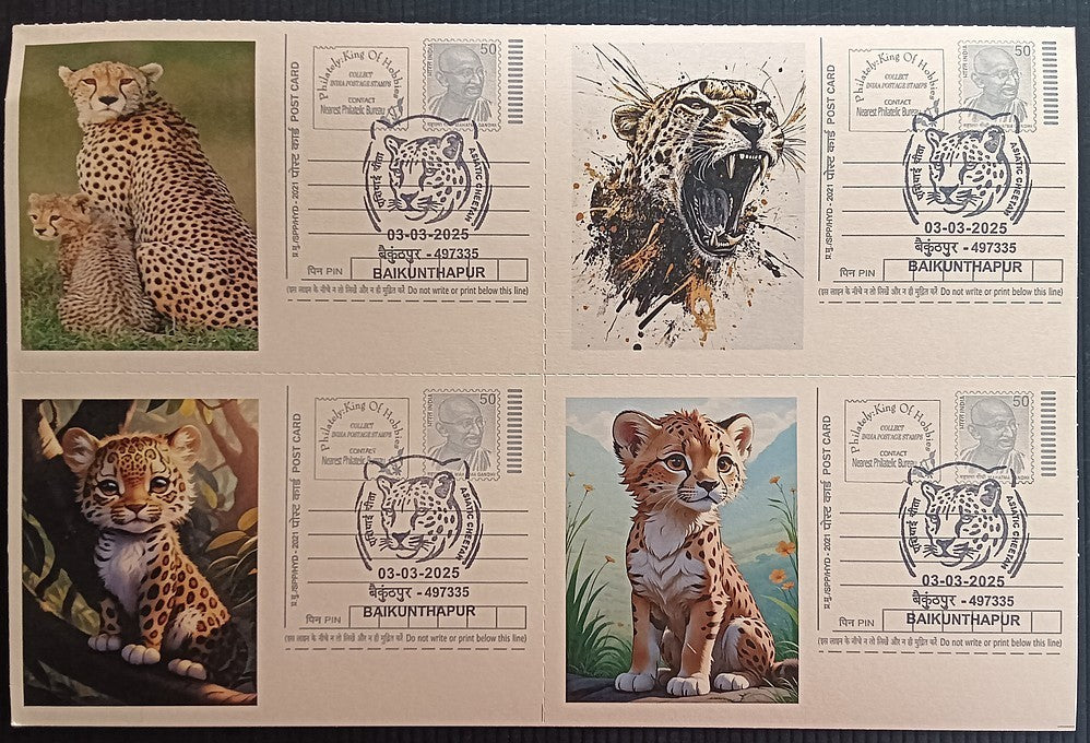 India Asiatic Cheetah group of 80 different special event postcards, Baikuntapur