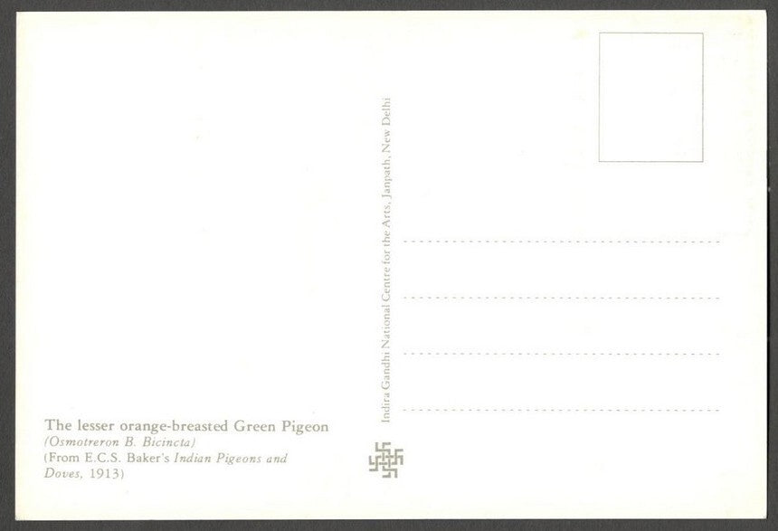 AOP India 2010 Pigeon maxi card