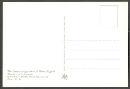 AOP India 2010 Pigeon maxi card