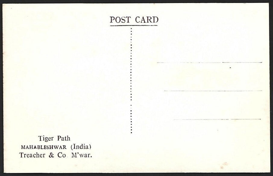 (AOP) India vintage real photo postcard TIGER PATH, MAHABLESHWAR