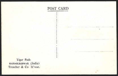 (AOP) India vintage real photo postcard TIGER PATH, MAHABLESHWAR