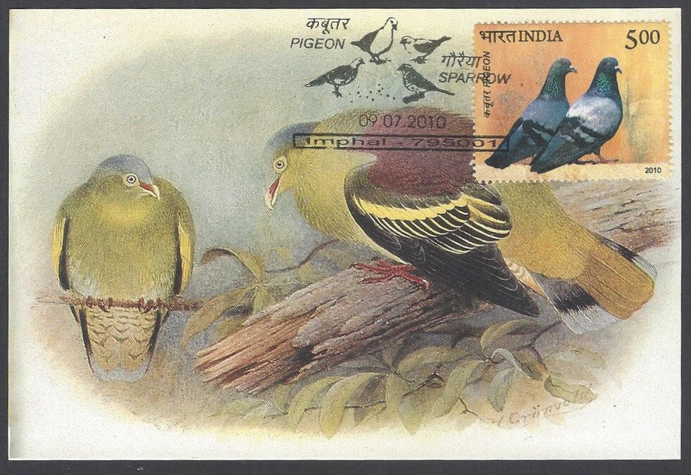 India 2008 Pigeon. The Thick - Billed Green Pigeon Maxi card