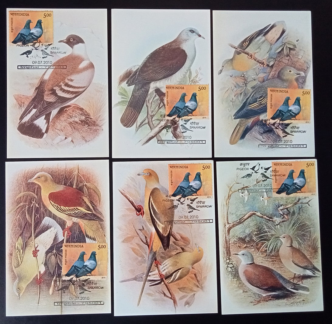AOP India 2010 Pigeon maxicard set of 24