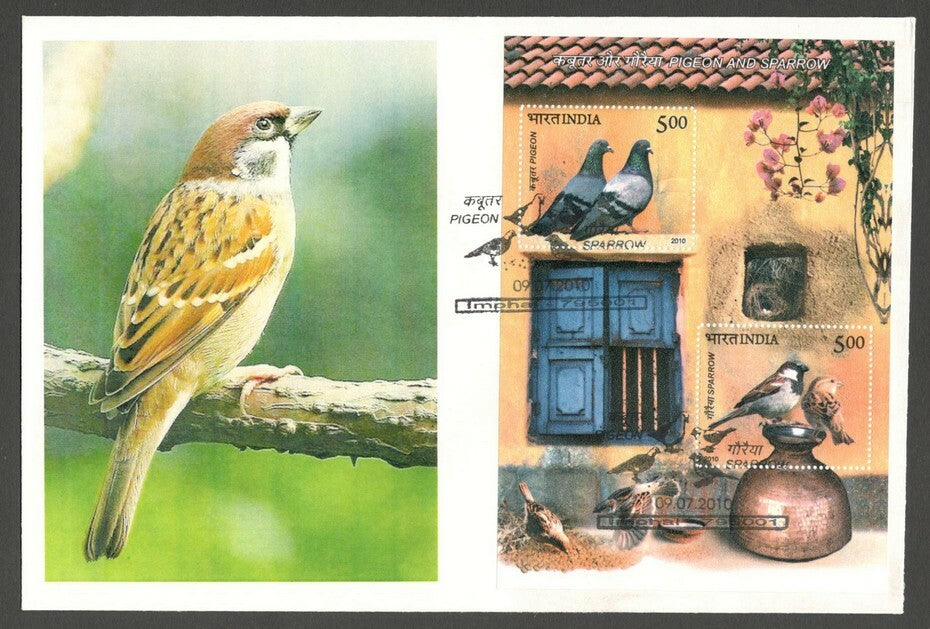 AOP India 2010 Birds Pigeon & Sparrow MS on FDC First Day cover