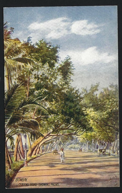 India BOMBAY vintage Oilette coloured postcard Queens Road Showing Palms