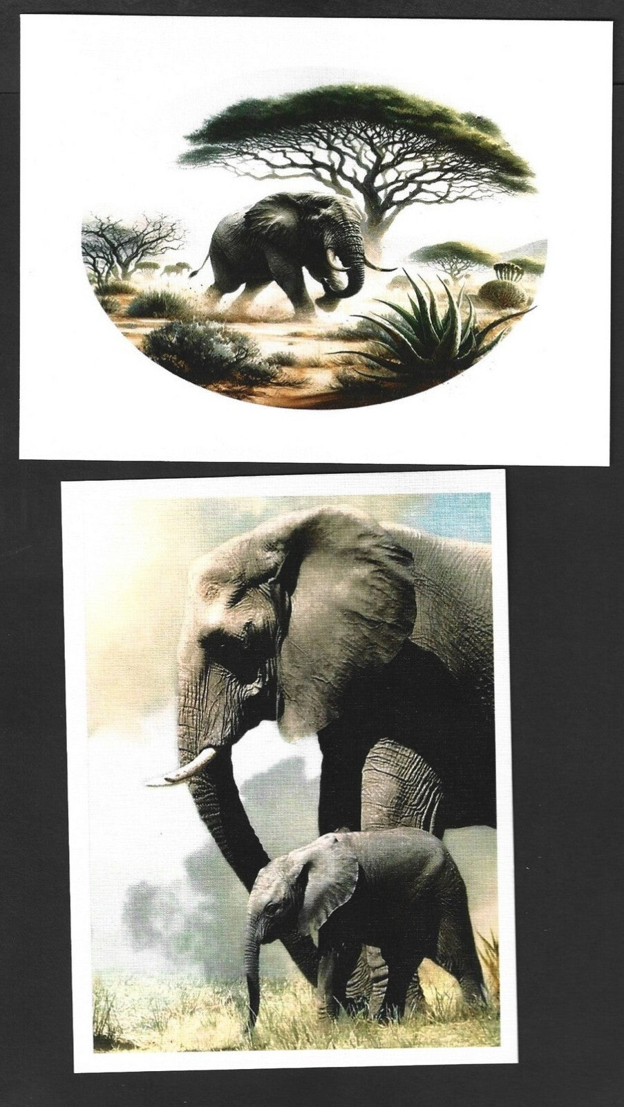 India 2023 LEMRU ELEPHANT RESERVE Special postcards (5)
